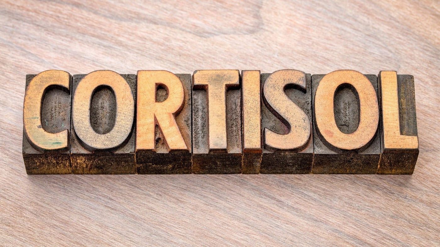 Understanding-Cortisol-The-Hormone-That-Keeps-You-Going-Chemco-Pharmacy