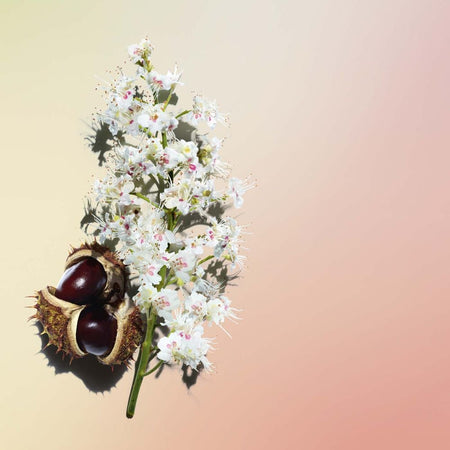 Clarins Nutri Lumiere Day Cream